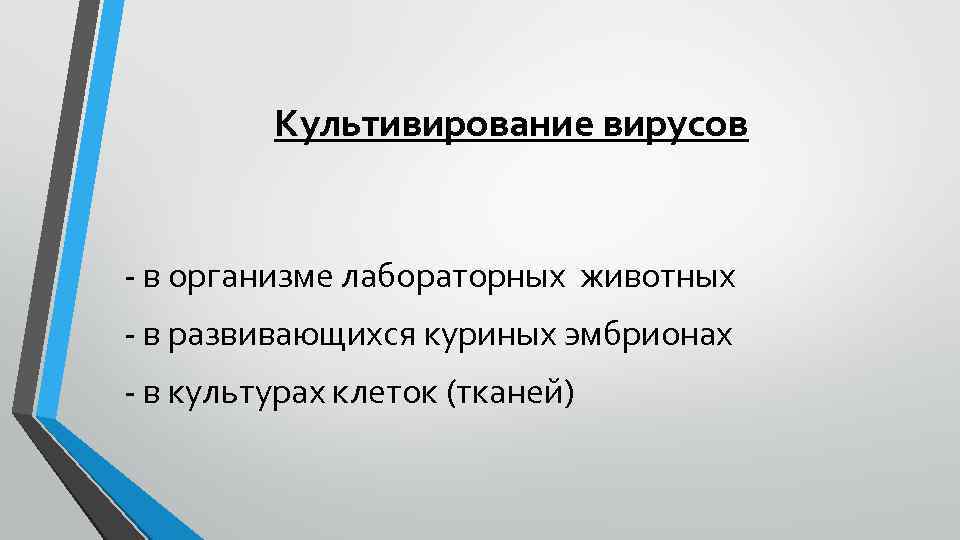 Культивирование вирусов - в организме лабораторных животных - в развивающихся куриных эмбрионах - в