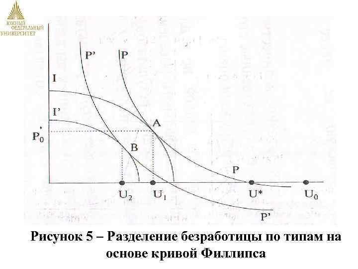 Рисунок 5 – Разделение безработицы по типам на основе кривой Филлипса 