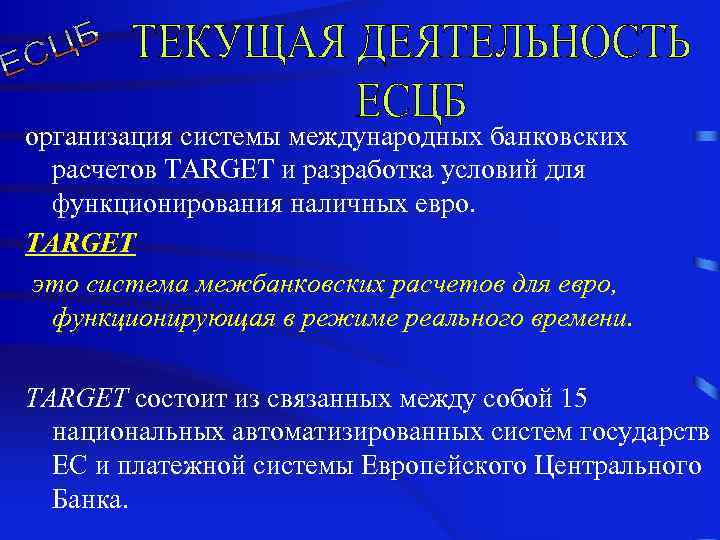 организация системы международных банковских расчетов TARGET и разработка условий для функционирования наличных евро. TARGET