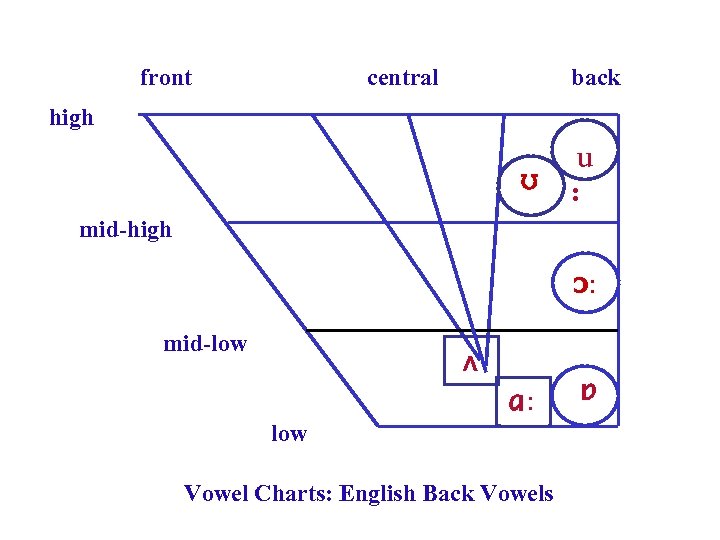 front central back high ʊ u : mid-high ɔ: mid-low ʌ low ɑ: Vowel