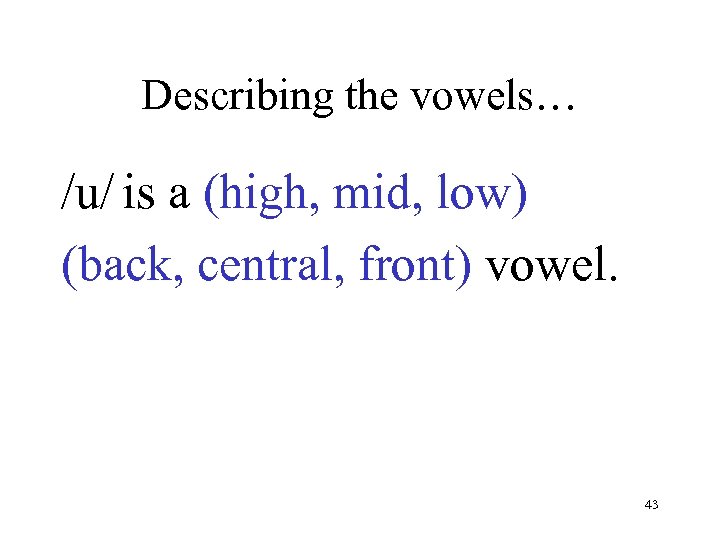 Describing the vowels… /u/ is a (high, mid, low) (back, central, front) vowel. 43