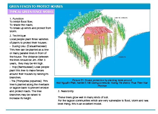 GREEN FENCES TO PROTECT HOUSES TYPICAL GREEN FENCE MODEL 1. Function To inhibit flood