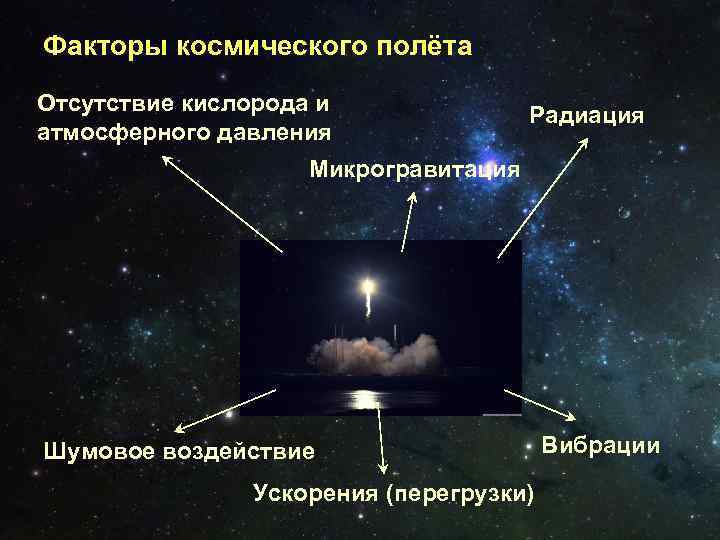 Факторы космического полета