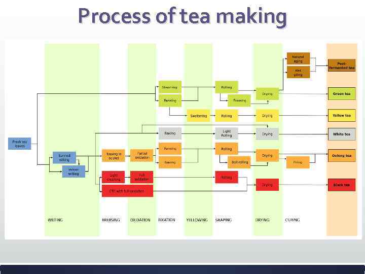 Process of tea making 