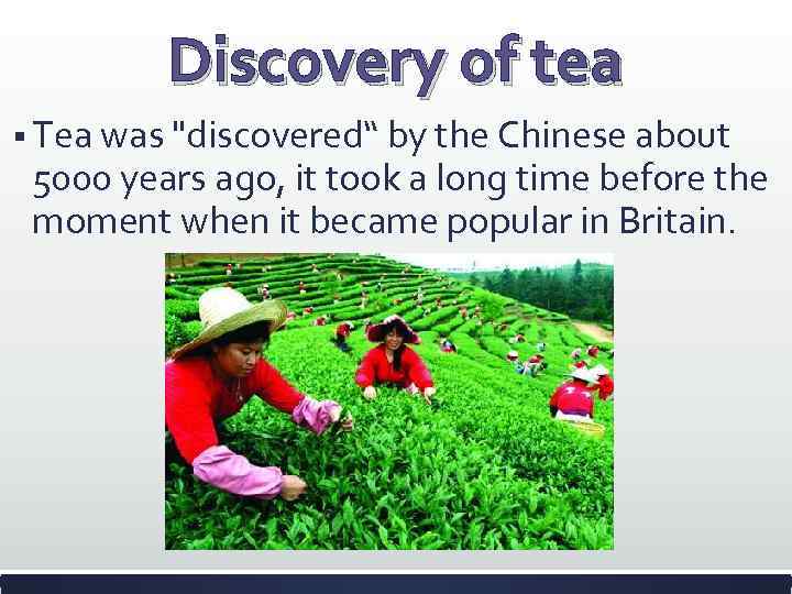 Discovery of tea § Tea was "discovered“ by the Chinese about 5000 years ago,
