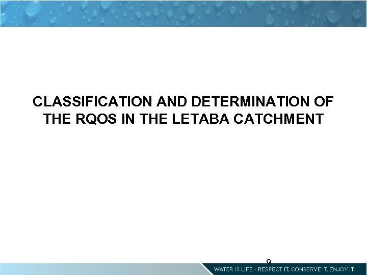 CLASSIFICATION AND DETERMINATION OF THE RQOS IN THE LETABA CATCHMENT 9 