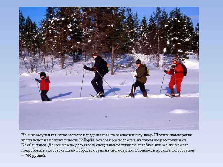 На снегоступах вы легко можете передвигаться по заснеженному лесу. Шестикилометровая тропа ведет на возвышенность