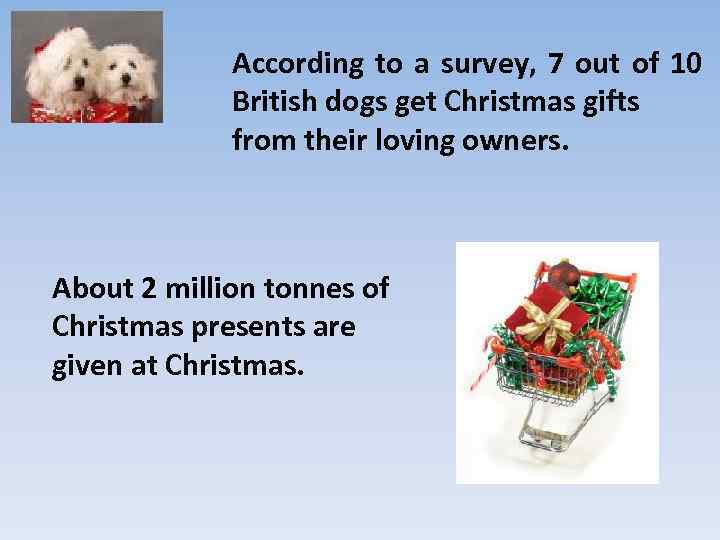 According to a survey, 7 out of 10 British dogs get Christmas gifts from