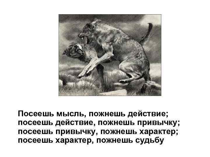 Посеешь мысль, пожнешь действие; посеешь действие, пожнешь привычку; посеешь привычку, пожнешь характер; посеешь характер,