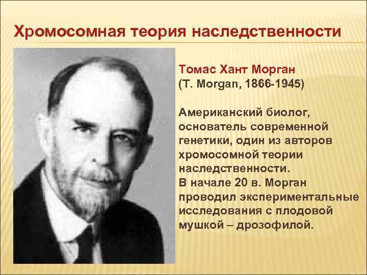 Т морган установил