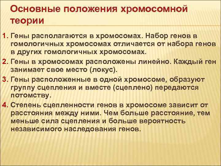 Основные положения хромосомной теории 1. Гены располагаются в хромосомах. Набор генов в гомологичных хромосомах