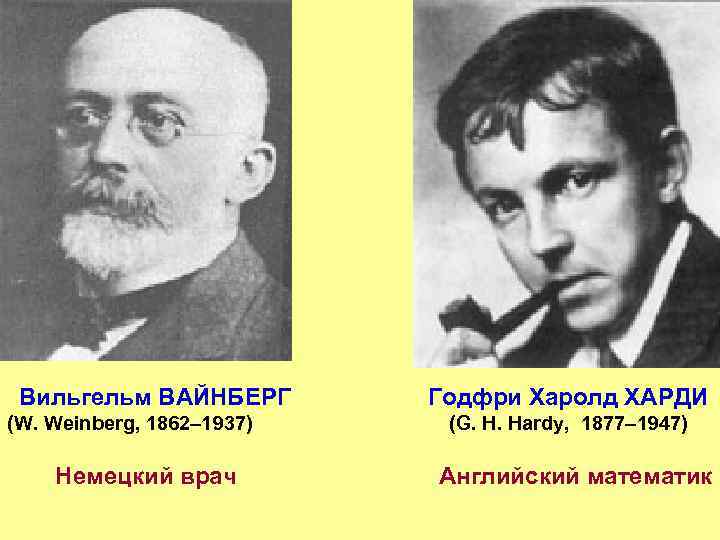 Вильгельм ВАЙНБЕРГ (W. Weinberg, 1862– 1937) Немецкий врач Годфри Харолд ХАРДИ (G. H. Hardy,