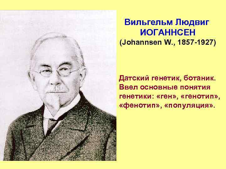 Вильгельм Людвиг ИОГАННСЕН (Johannsen W. , 1857 -1927) Датский генетик, ботаник. Ввел основные понятия