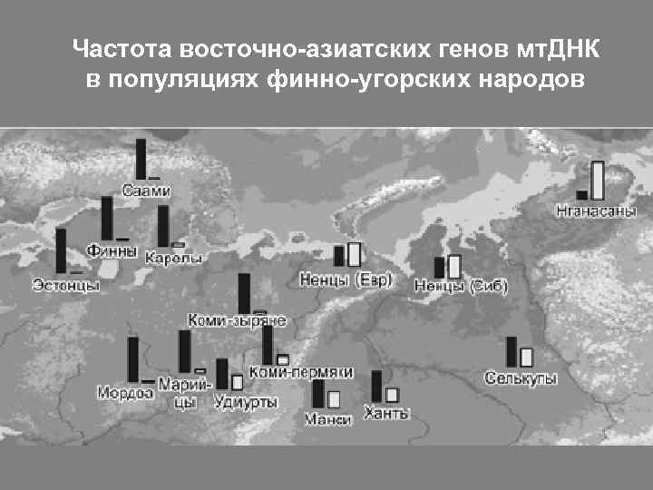 Частота восточно-азиатских генов мт. ДНК в популяциях финно-угорских народов 