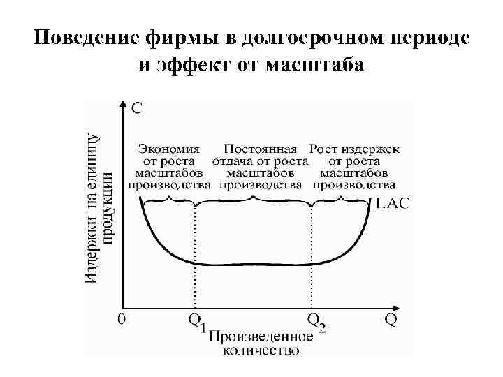 Поведение фирмы в долгосрочном периоде и эффект от масштаба 