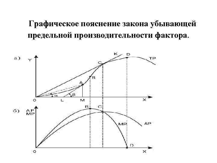 Графическое пояснение закона убывающей предельной производительности фактора. 