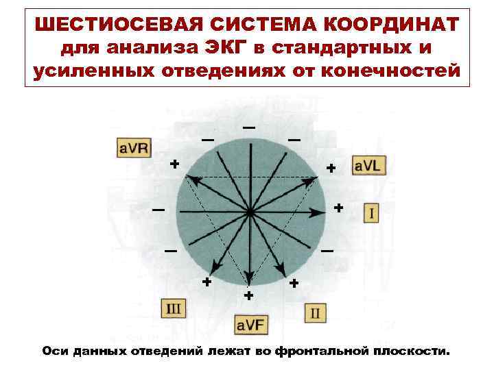 ШЕСТИОСЕВАЯ СИСТЕМА КООРДИНАТ для анализа ЭКГ в стандартных и усиленных отведениях от конечностей +