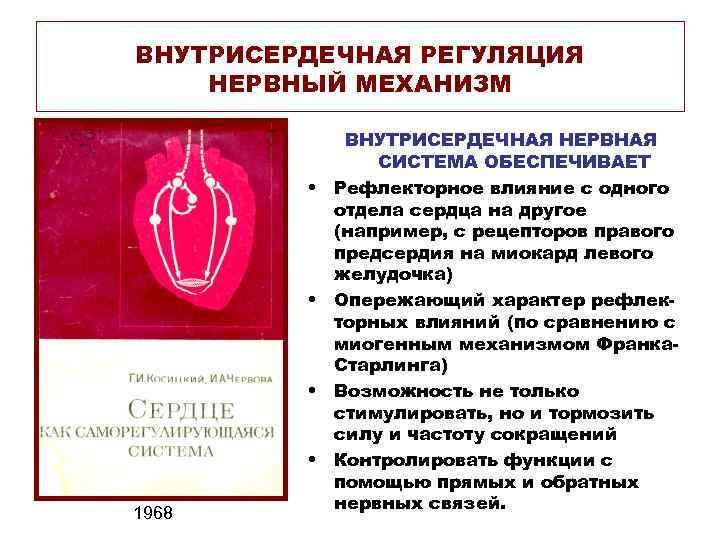 ВНУТРИСЕРДЕЧНАЯ РЕГУЛЯЦИЯ НЕРВНЫЙ МЕХАНИЗМ • • 1968 ВНУТРИСЕРДЕЧНАЯ НЕРВНАЯ СИСТЕМА ОБЕСПЕЧИВАЕТ Рефлекторное влияние с
