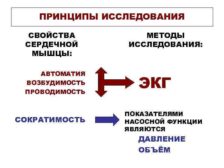 ПРИНЦИПЫ ИССЛЕДОВАНИЯ СВОЙСТВА СЕРДЕЧНОЙ МЫШЦЫ: АВТОМАТИЯ ВОЗБУДИМОСТЬ ПРОВОДИМОСТЬ СОКРАТИМОСТЬ МЕТОДЫ ИССЛЕДОВАНИЯ: ЭКГ ПОКАЗАТЕЛЯМИ НАСОСНОЙ