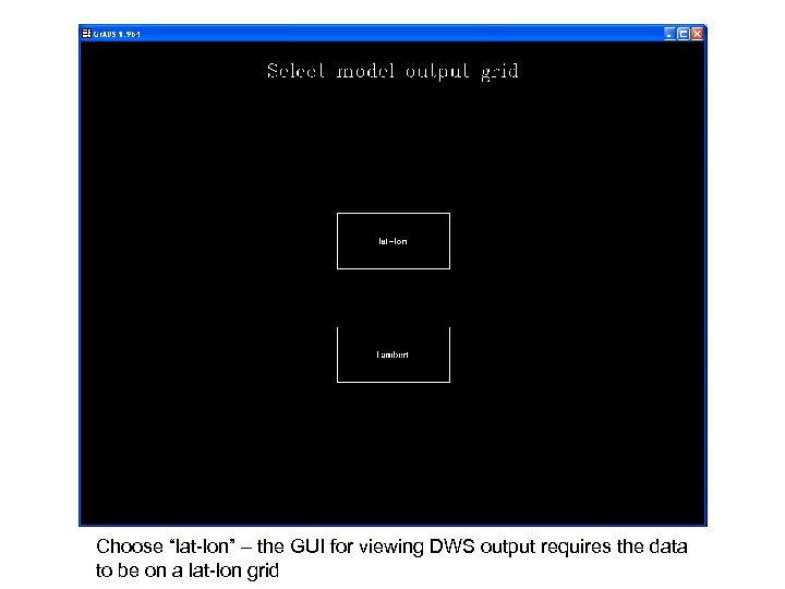 Choose “lat-lon” – the GUI for viewing DWS output requires the data to be