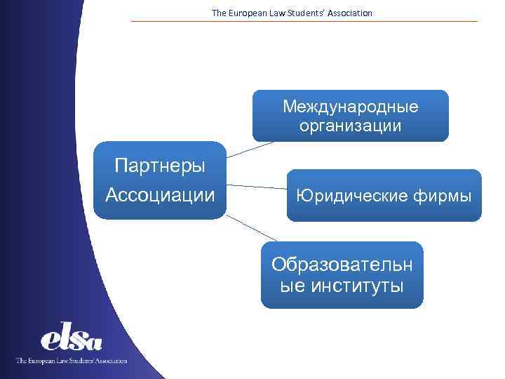 The European Law Students’ Association Международные организации Партнеры Ассоциации Юридические фирмы Образовательн ые институты
