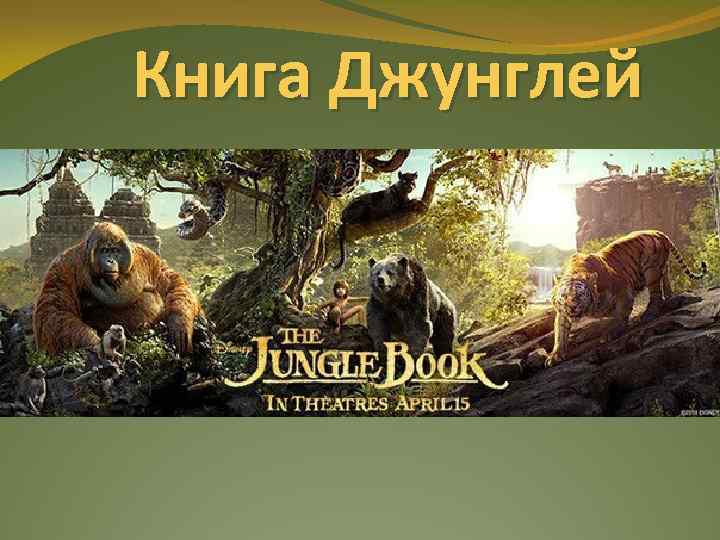 Книга Джунглей 