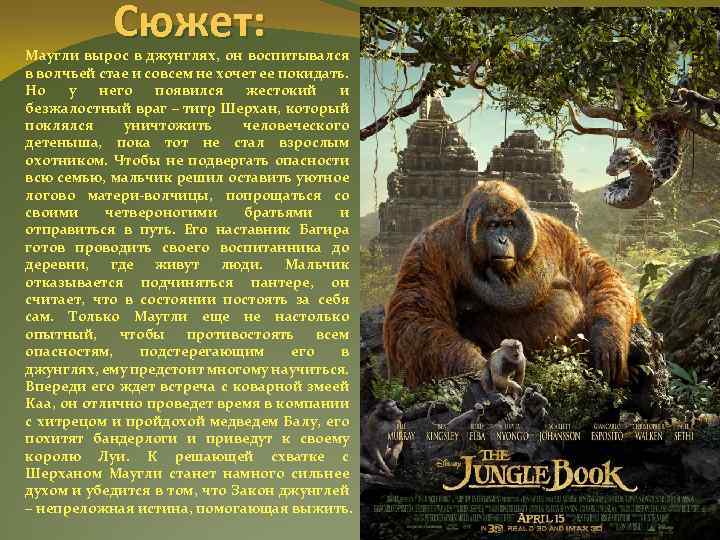 Сюжет: Маугли вырос в джунглях, он воспитывался в волчьей стае и совсем не хочет