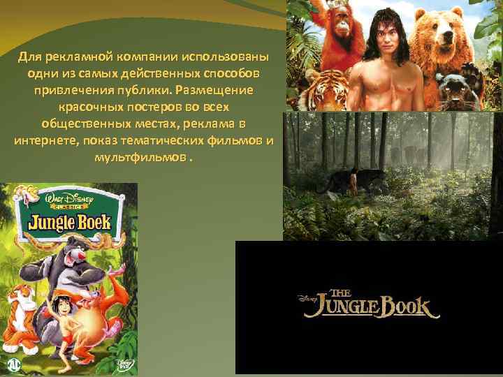 Для рекламной компании использованы одни из самых действенных способов привлечения публики. Размещение красочных постеров