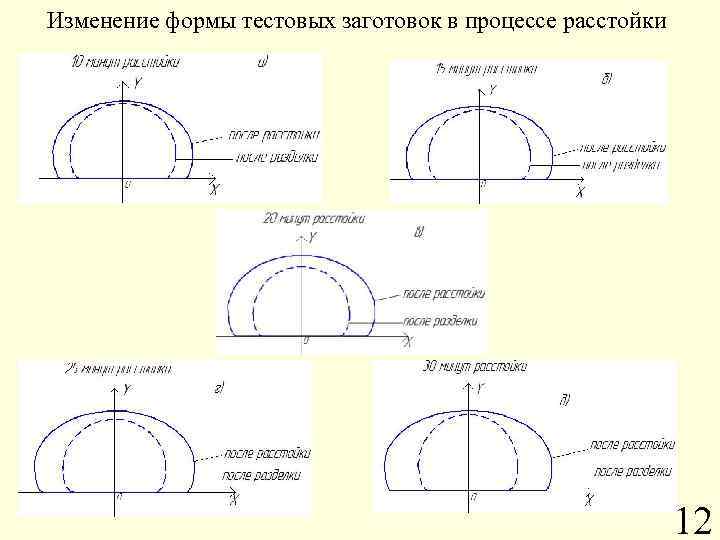 Изменение формы тестовых заготовок в процессе расстойки 12 