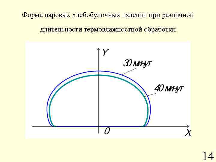 Форма паровых хлебобулочных изделий при различной длительности термовлажностной обработки 14 