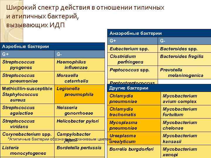 Широкий спектр действия в отношении типичных и атипичных бактерий, вызывающих ИДП Анаэробные бактерии G+