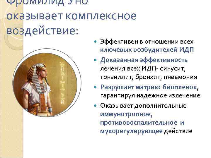 Фромилид Уно оказывает комплексное воздействие: Эффективен в отношении всех ключевых возбудителей ИДП Доказанная эффективность