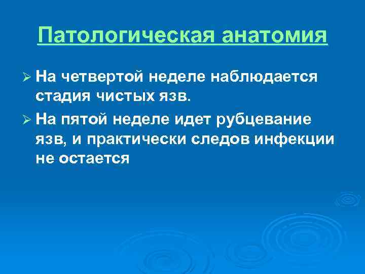 Патологическая анатомия Ø На четвертой неделе наблюдается стадия чистых язв. Ø На пятой неделе