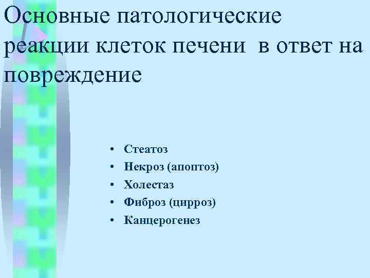 Основные патологические реакции клеток печени в ответ на повреждение • • • Стеатоз Некроз