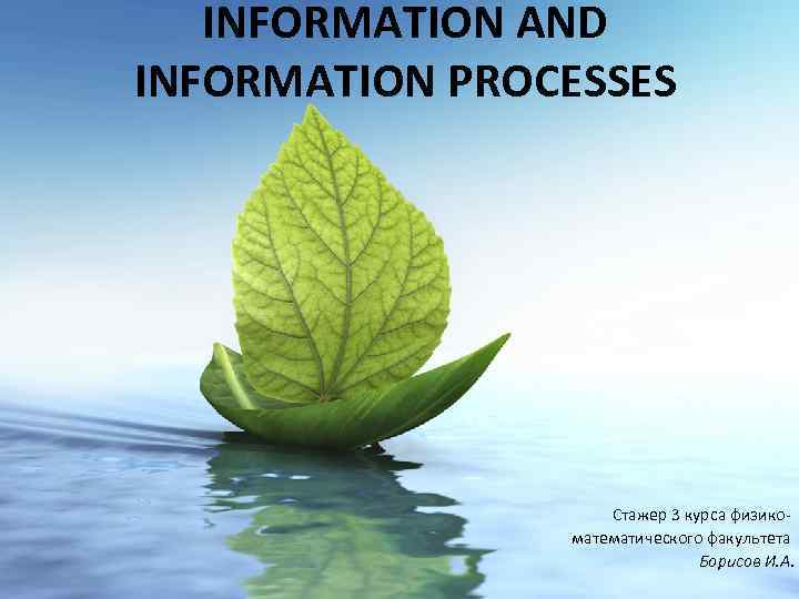 INFORMATION AND INFORMATION PROCESSES Стажер 3 курса физикоматематического факультета Борисов И. А. 