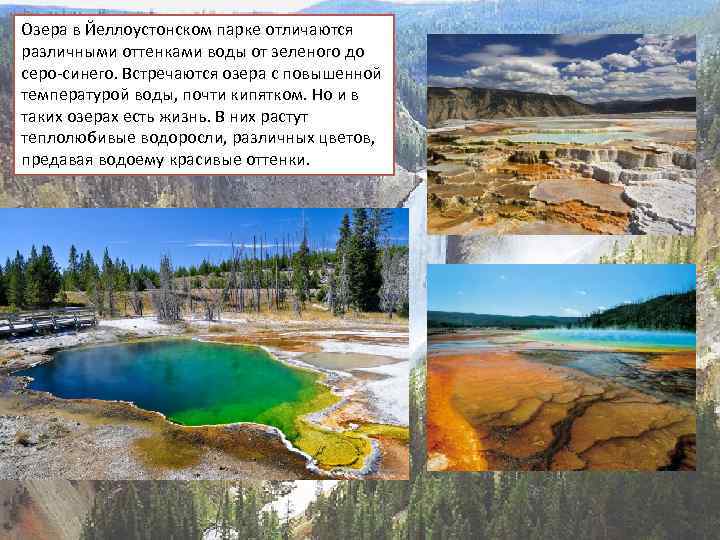 Озера в Йеллоустонском парке отличаются различными оттенками воды от зеленого до серо-синего. Встречаются озера