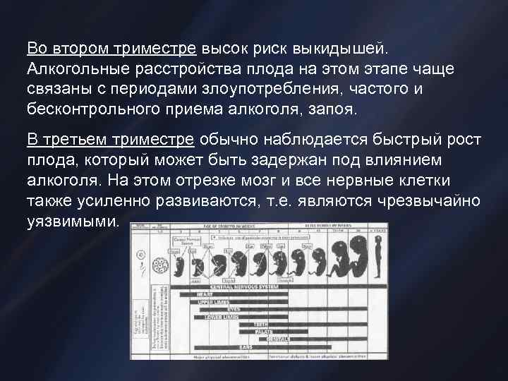 Во втором триместре высок риск выкидышей. Алкогольные расстройства плода на этом этапе чаще связаны