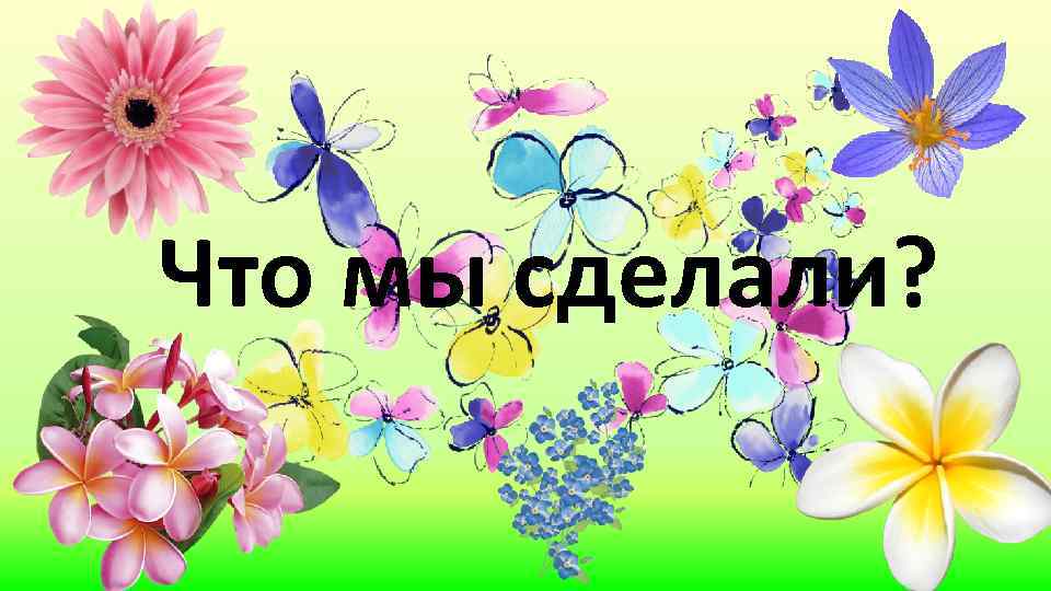 Что мы сделали? 