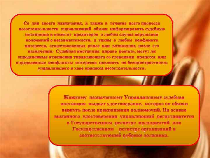 Со дня своего назначения, а также в течение всего процесса несостоятельности управляющий обязан информировать