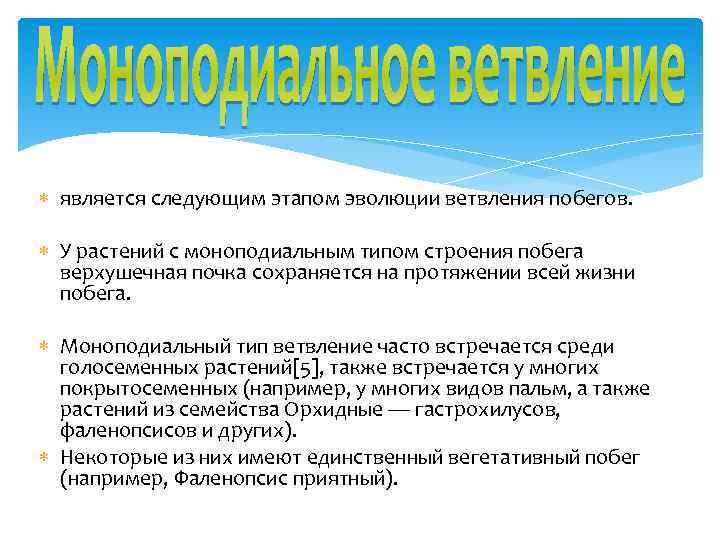  является следующим этапом эволюции ветвления побегов. У растений с моноподиальным типом строения побега