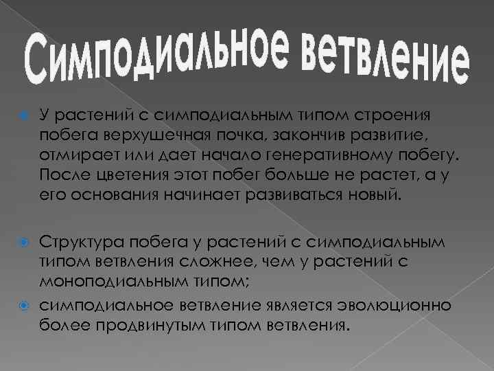  У растений с симподиальным типом строения побега верхушечная почка, закончив развитие, отмирает или