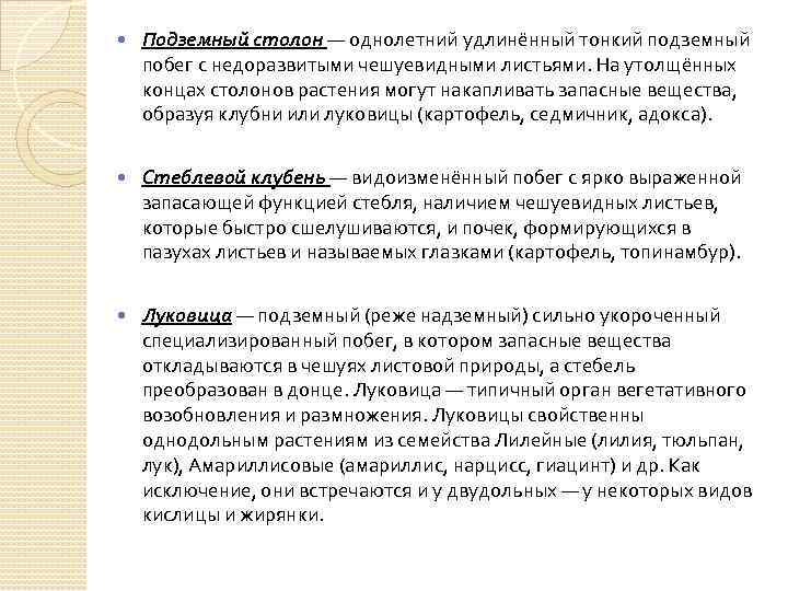  Подземный столон — однолетний удлинённый тонкий подземный побег с недоразвитыми чешуевидными листьями. На