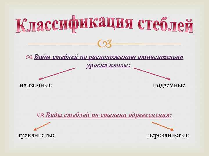  Виды стеблей по расположению относительно уровня почвы: надземные подземные Виды стеблей по степени