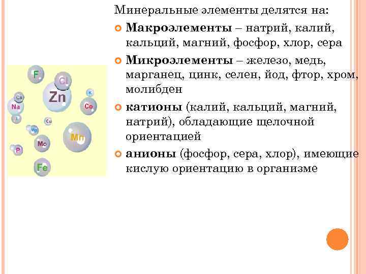 Минеральные элементы делятся на: Макроэлементы – натрий, кальций, магний, фосфор, хлор, сера Микроэлементы –