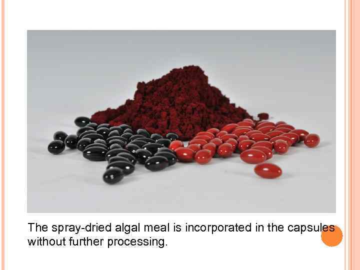 The spray-dried algal meal is incorporated in the capsules without further processing. 