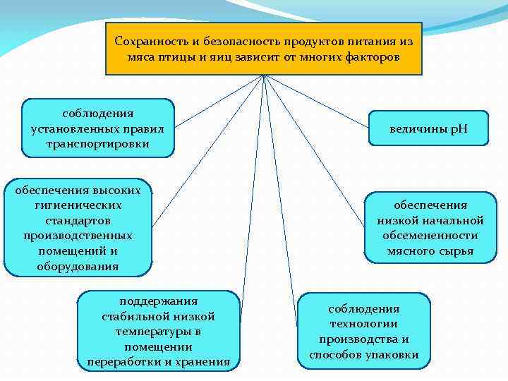 Яйца и яичные продукты товароведение презентация