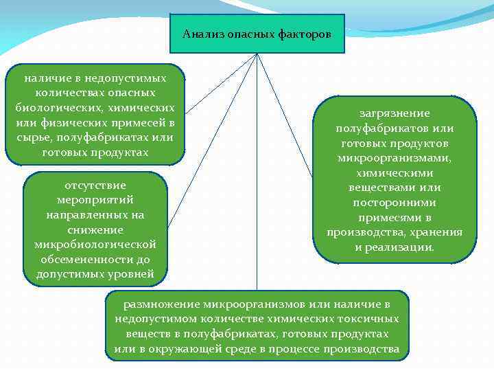 Система хассп в общественном питании презентация