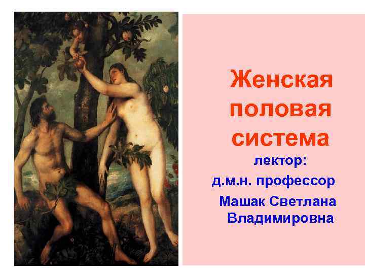Женская половая система лектор: д. м. н. профессор Машак Светлана Владимировна 