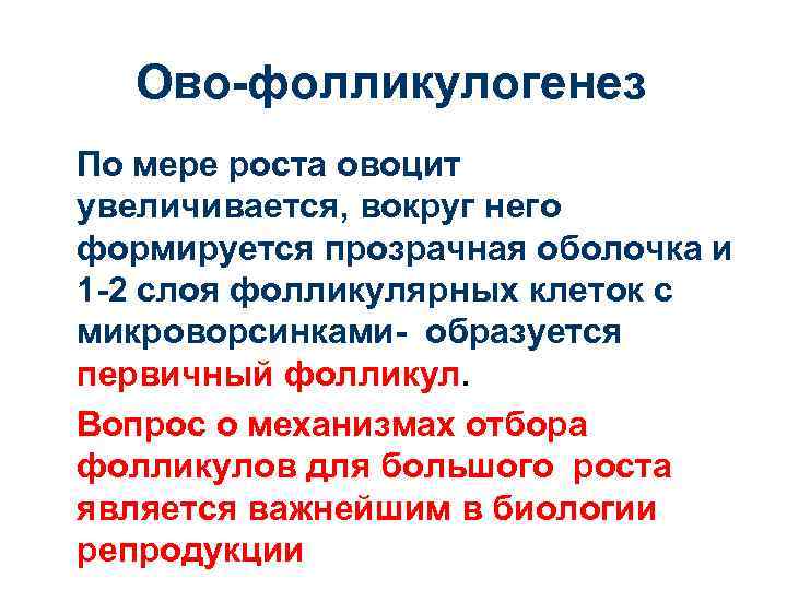 Ово-фолликулогенез По мере роста овоцит увеличивается, вокруг него формируется прозрачная оболочка и 1 -2