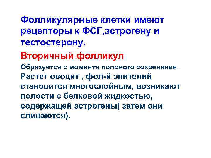 Фолликулярные клетки имеют рецепторы к ФСГ, эстрогену и тестостерону. Вторичный фолликул Образуется с момента